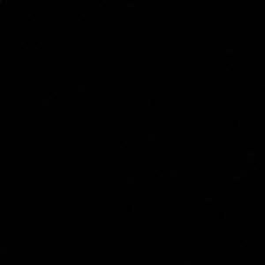 Meet your Posher, Shelby